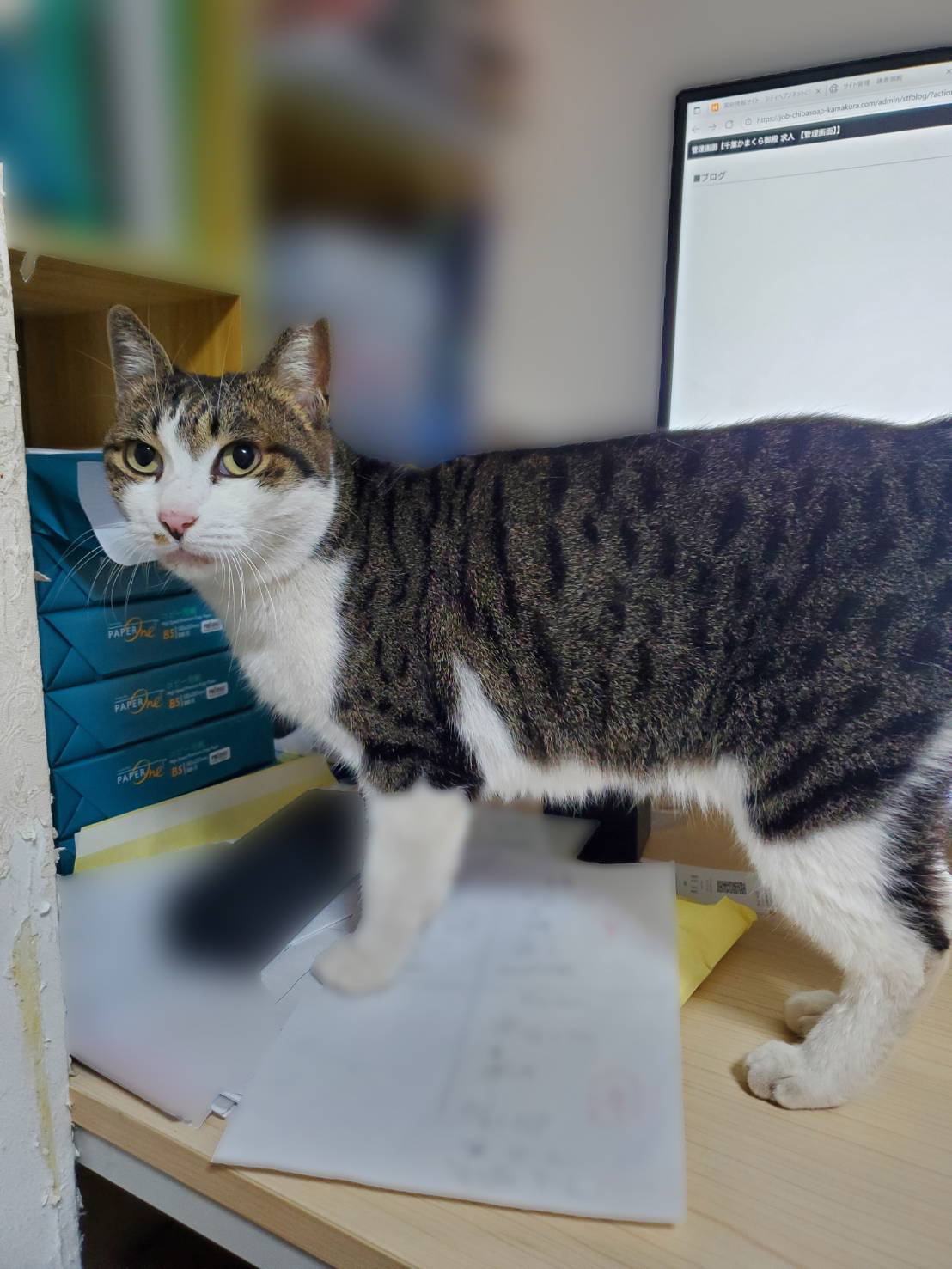 タイミングが重要