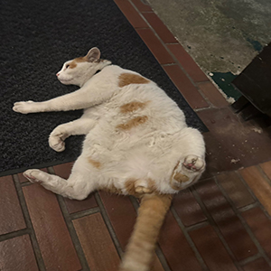 アクセス抜群＆快適設備！働きやすさに自信あり✨