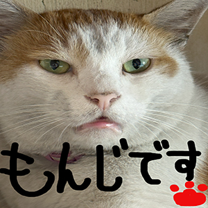 未経験でも稼げる理由、全部お話します(๑•̀ㅂ•́)و✧