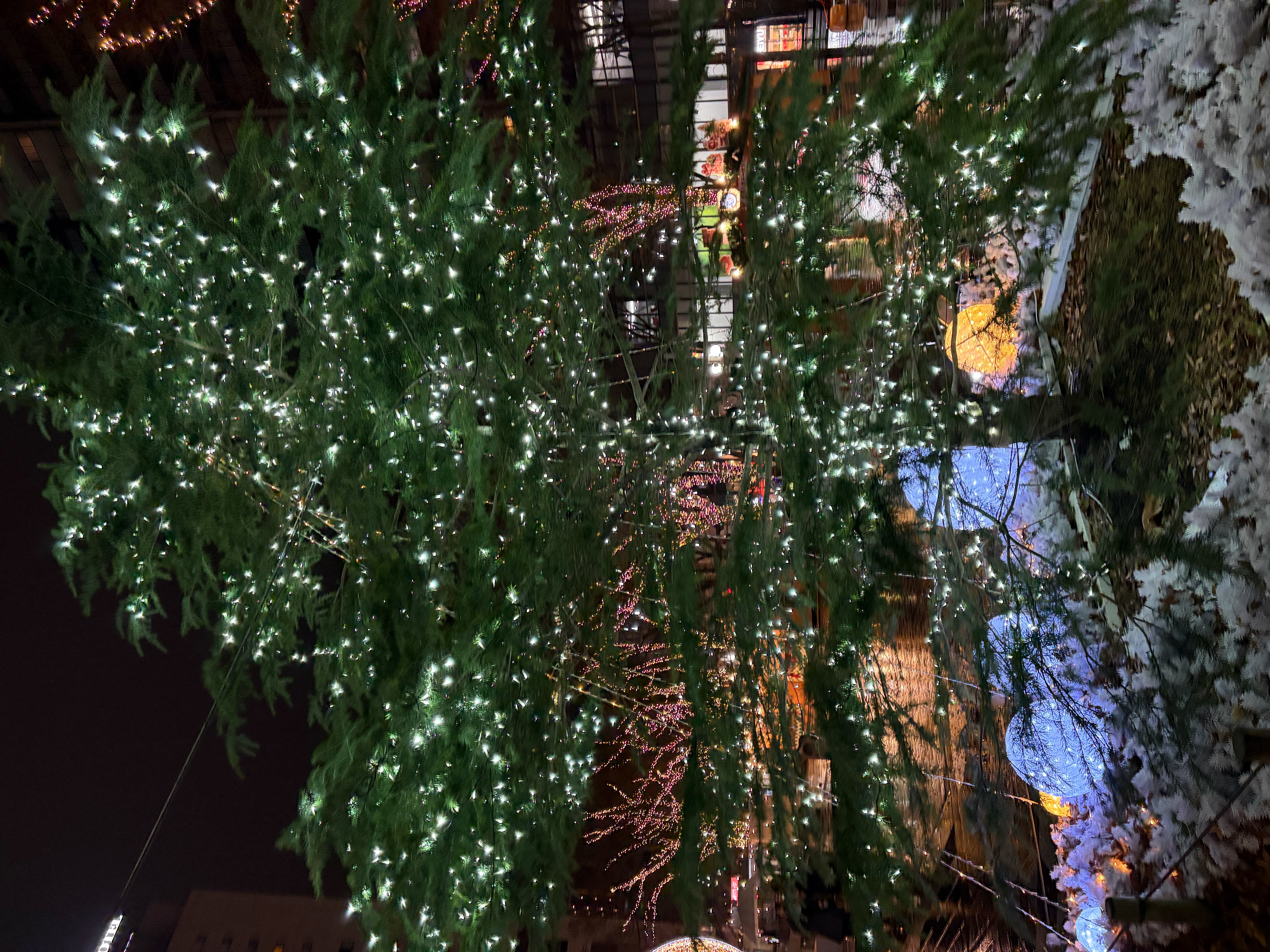 布団から出られない寒さ