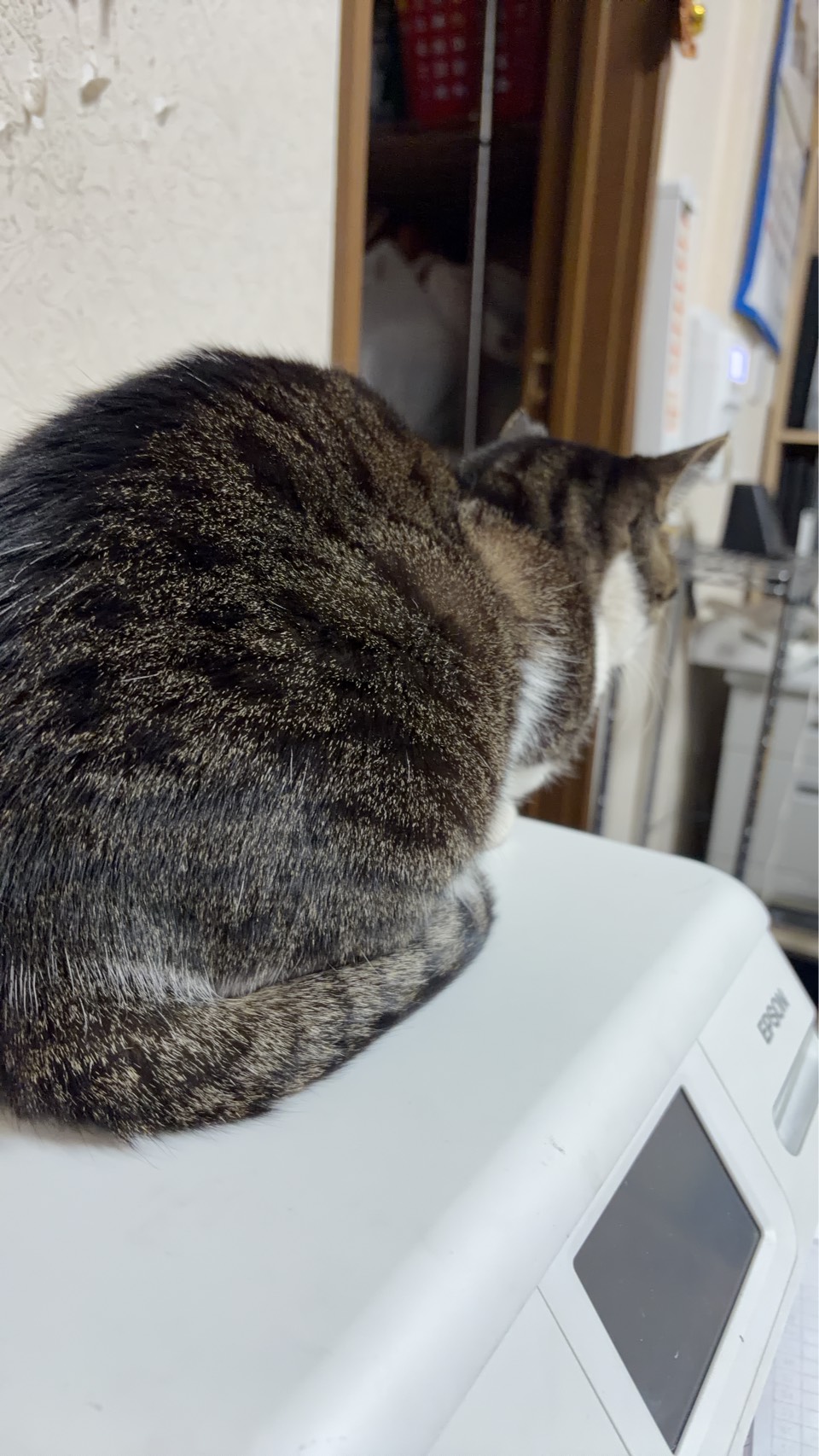 失敗とは成功を重ねる糧