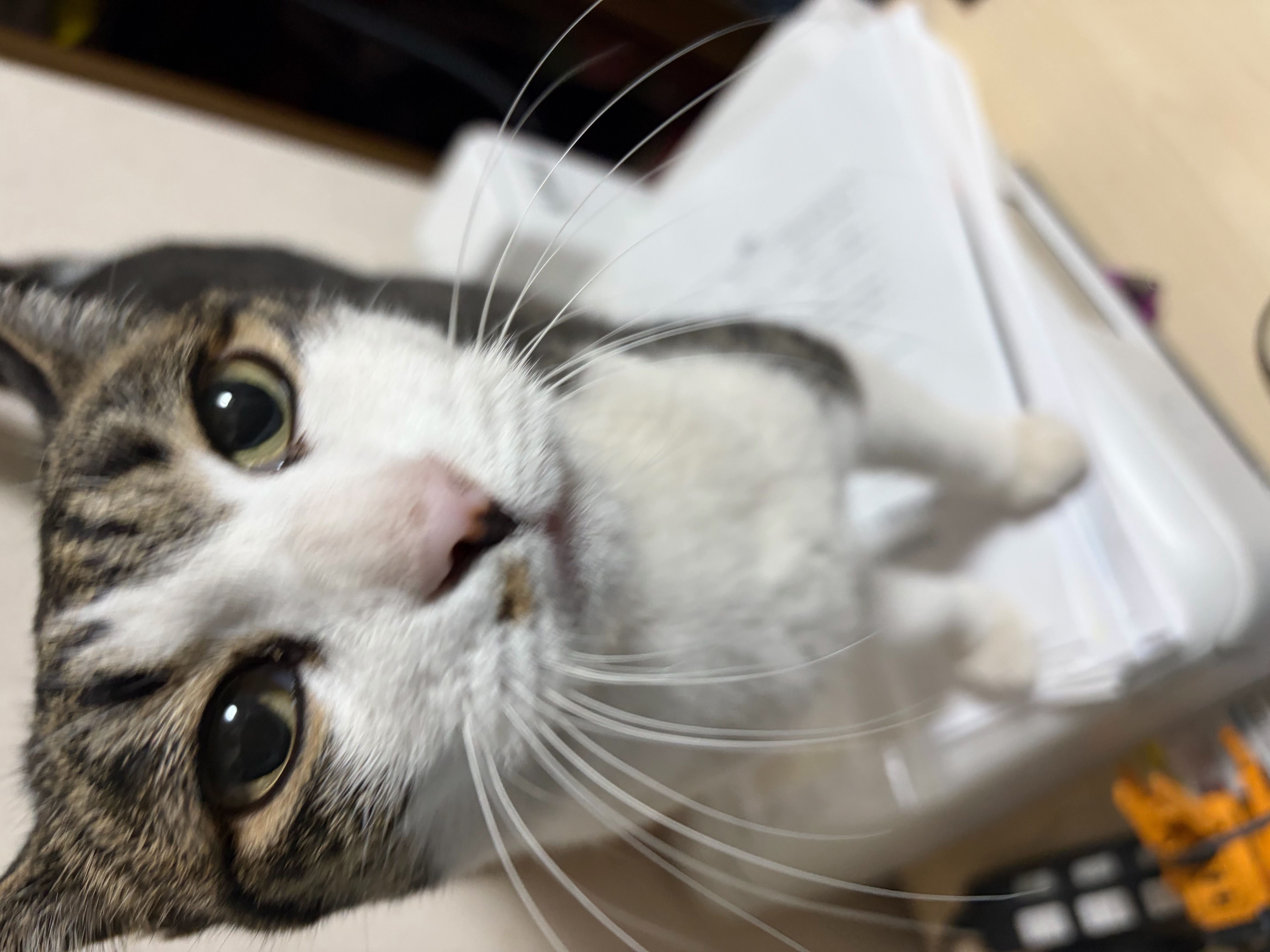 パーキンソンの法則