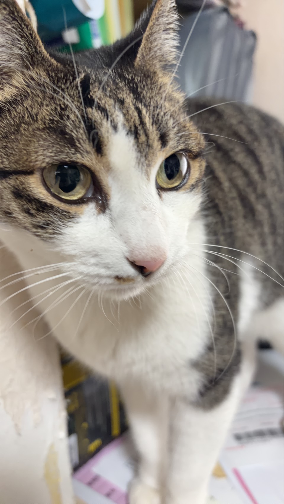 食中毒が流行る季節