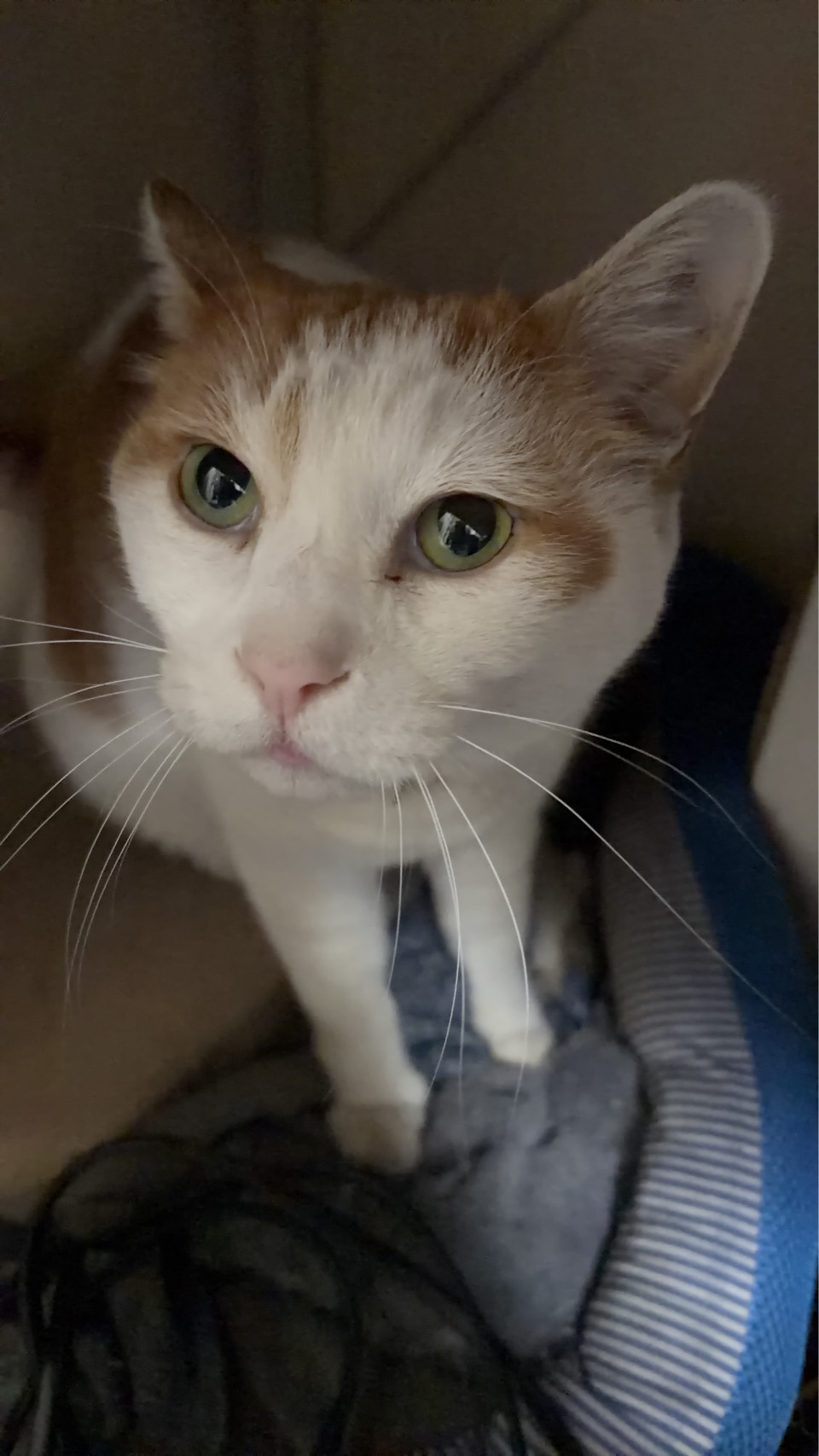 人生が変わった決断