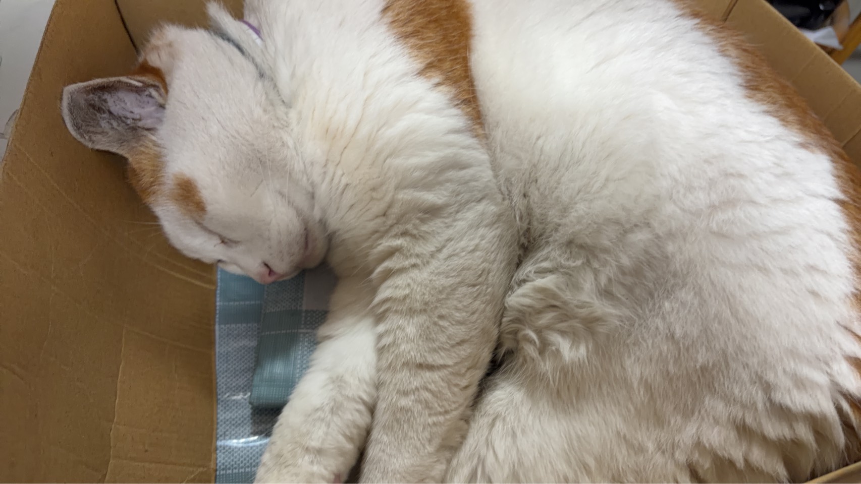 意識の違いが未来を変える