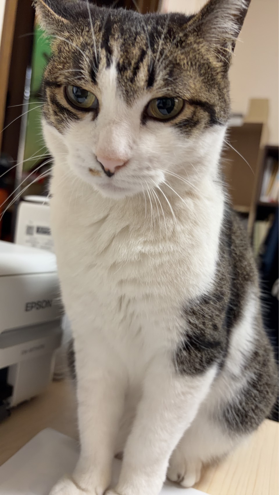 ワールドカップ