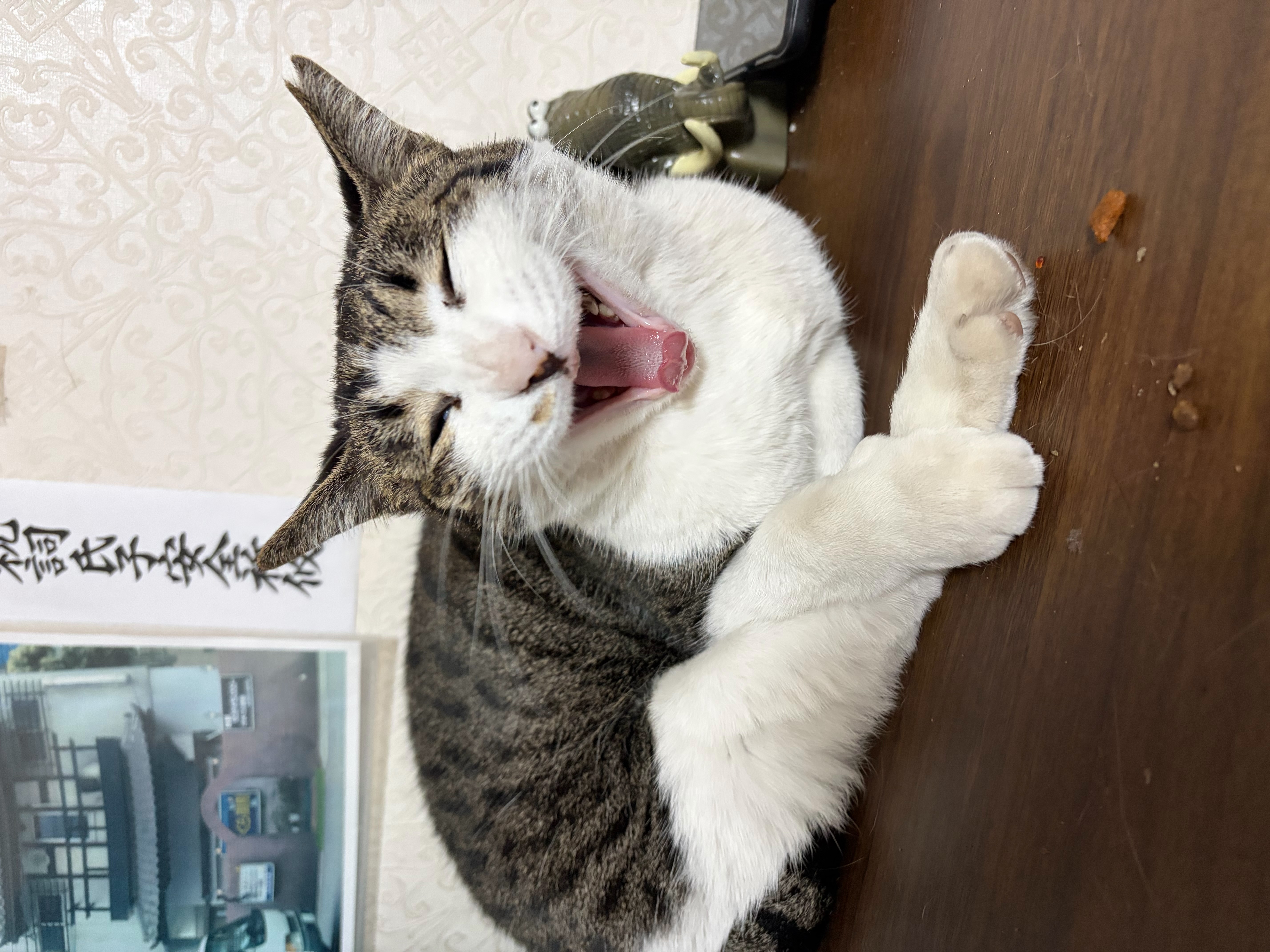 体も心も資本