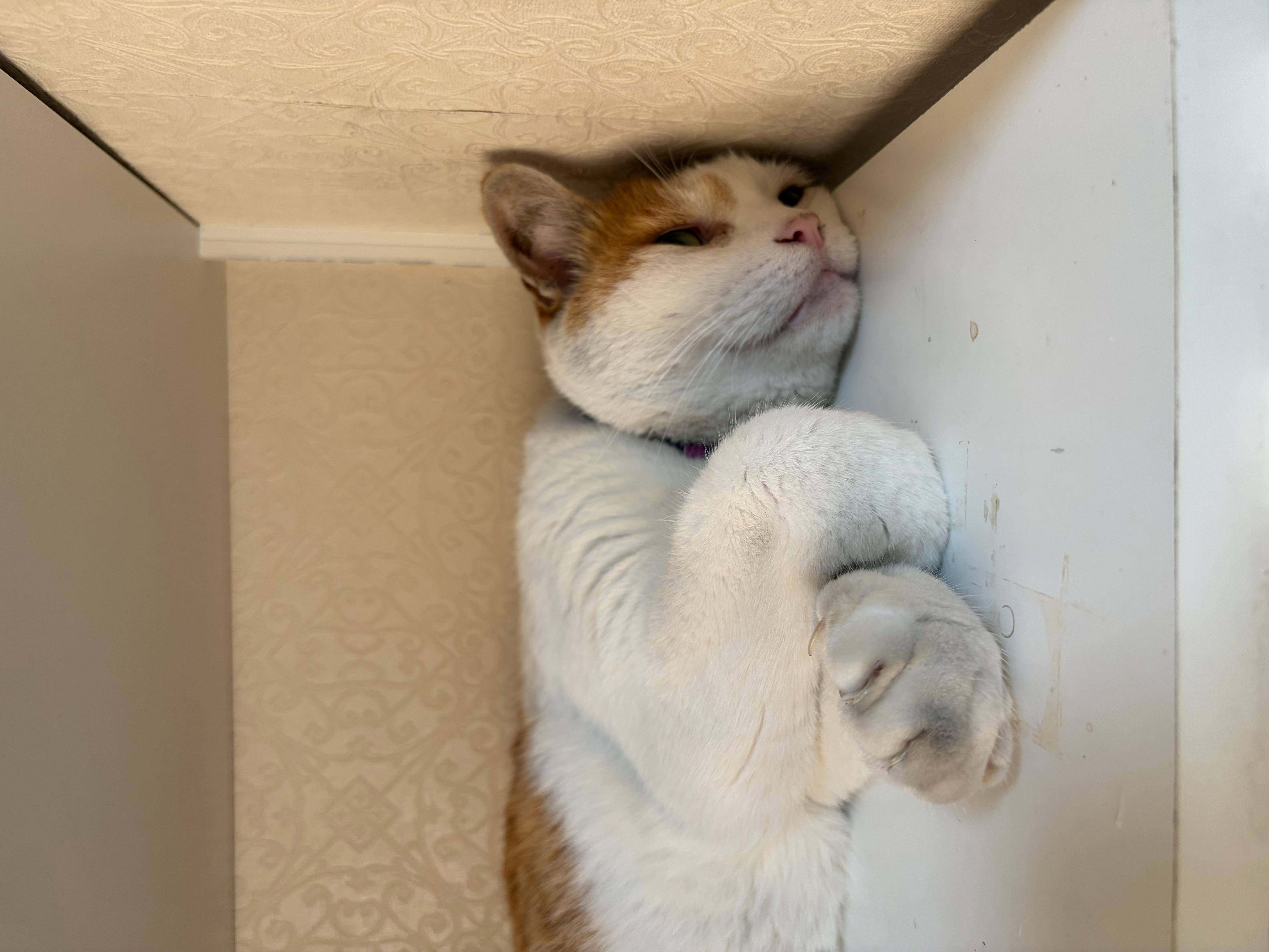 一期一会